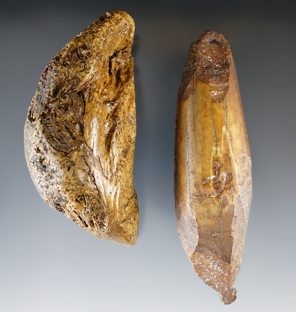 Main artifact image