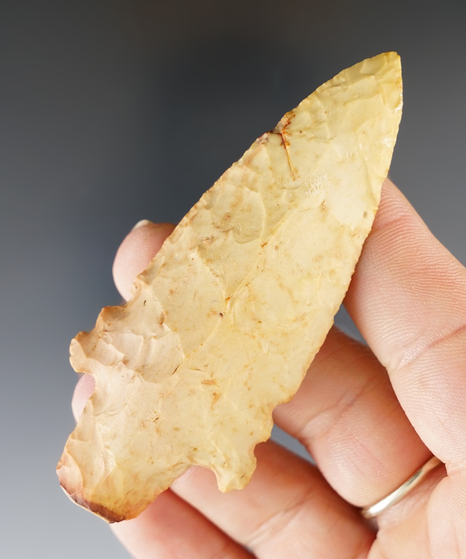 Main artifact image