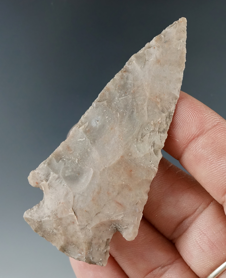 Ex. Museum! 2 3/4" Williams point found in Texas.