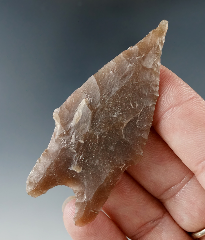 Ex. Museum! 2 5/8" Pedernales point found in Texas made from attractive material..