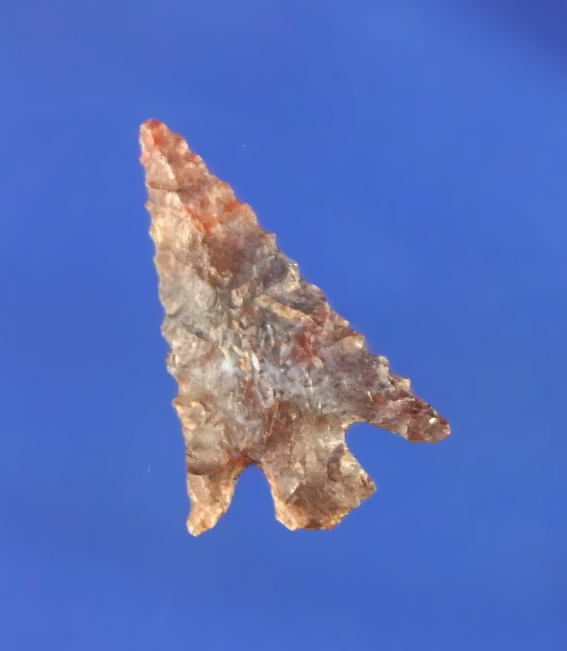 Well styled and nicely patinated 3/4 Columbia Plateau found by Norma Berg near the Columbia River