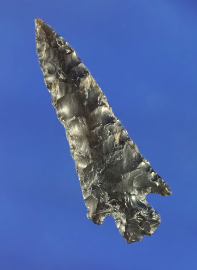 1 1/8" obsidian Rose Springs  found by Norma Berg near the Columbia River - Washington.
