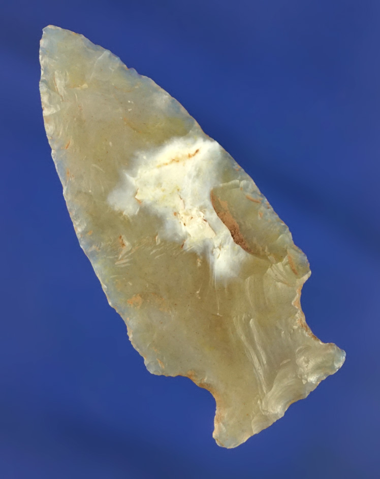 Main artifact image