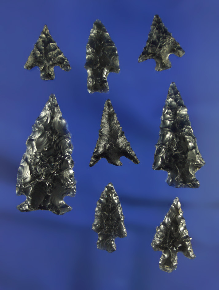 Set of 8 assorted Obsidian Arrowheads found near the John Day Rapids, Klickitat Co.,  Washington.