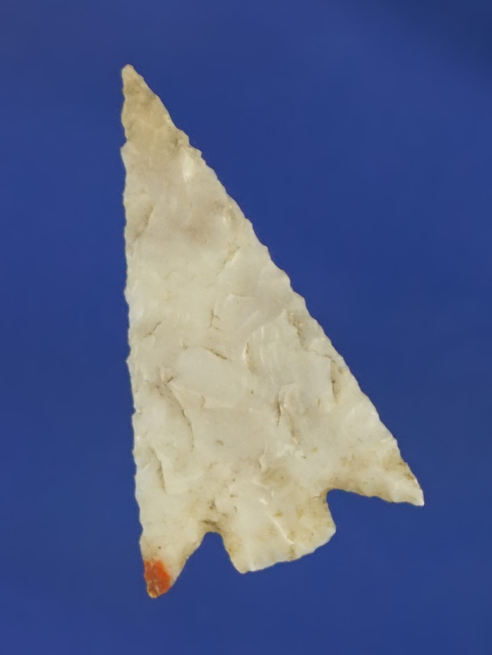 Very thin and  well flaked 7/8" Columbia Plateau found by Norma Berg near the Columbia River