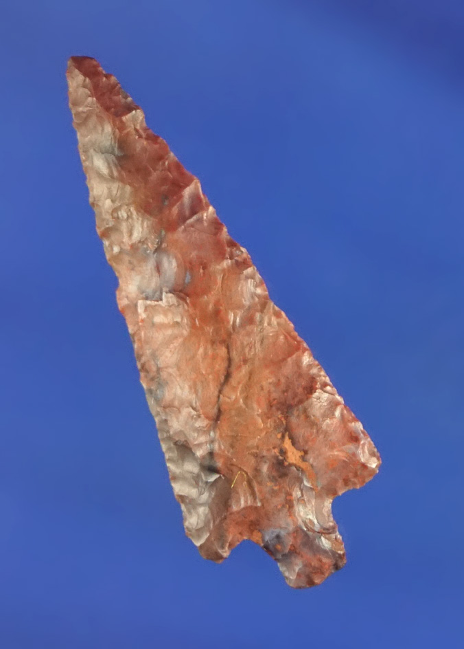 1 3/16" Wallula found by Norma Berg near the Columbia River on the Washington side.