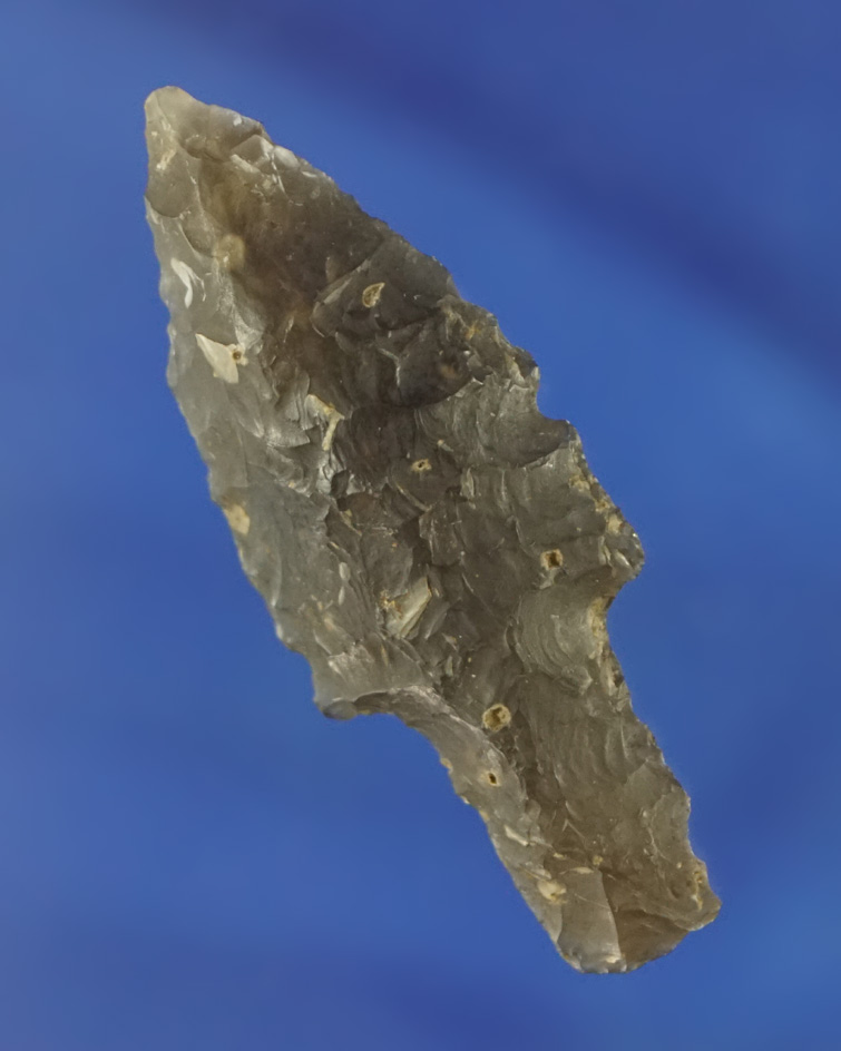 1 3/4" nicely flaked and well styled Stemmed Point found in the Pacific Northwest.