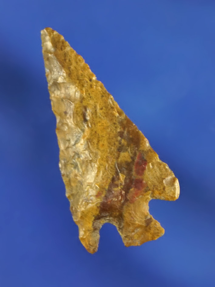 1 3/16" Columbia Plateau made from attractive Petrified Wood found near the Columbia River, WA