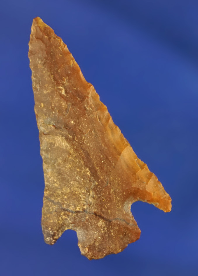1 1/2" Cornernotch found by Norma Berg near the Columbia River on the Washington side.