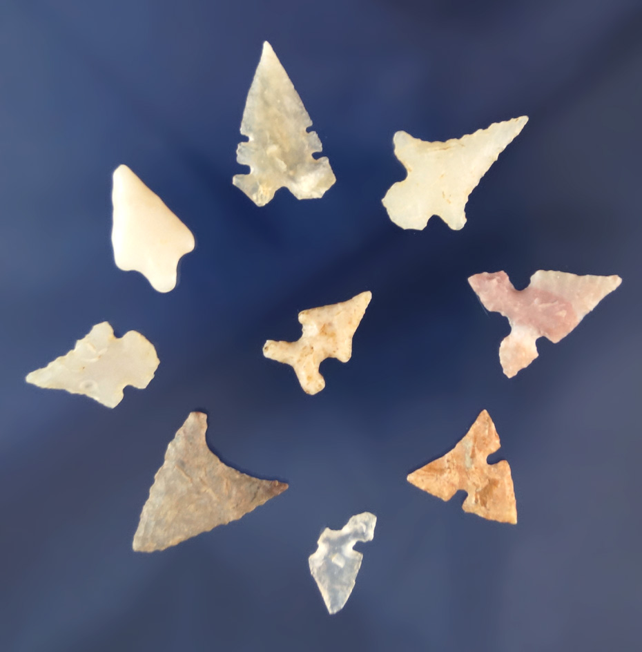 Group of nine assorted southwestern U. S. Bird Points, largest is 7/8".
