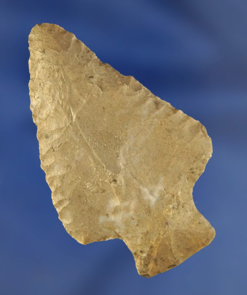 Main artifact image