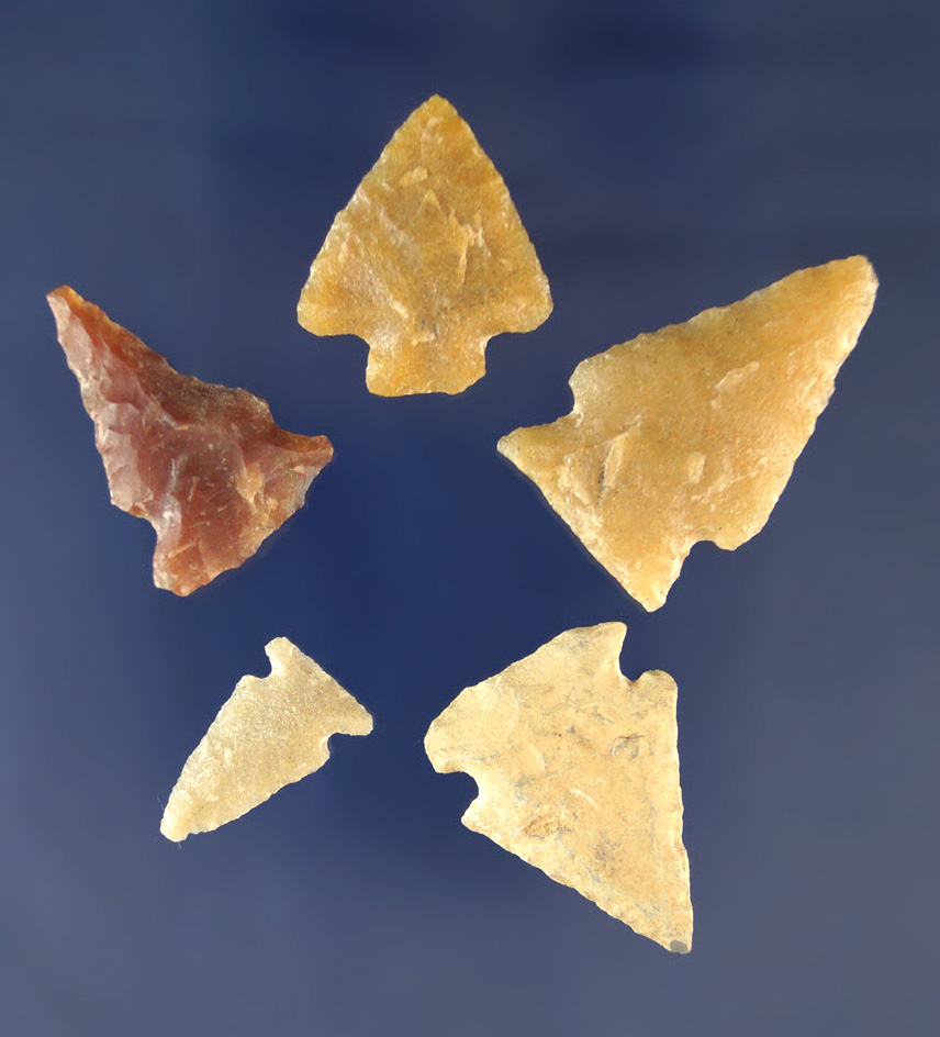 Main artifact image