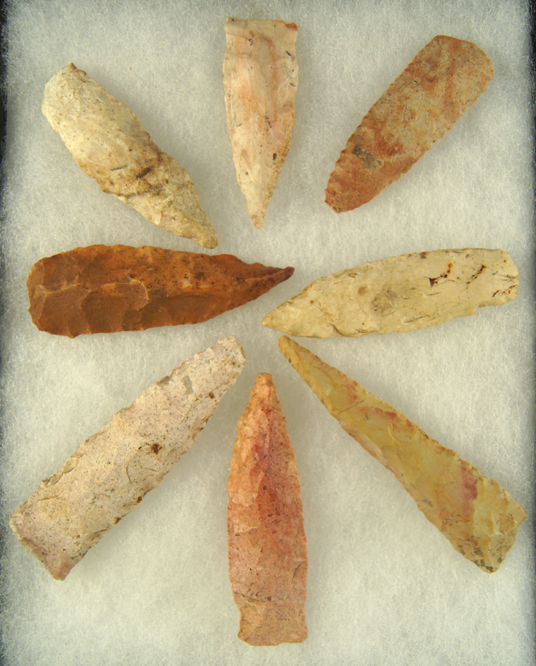 Main artifact image