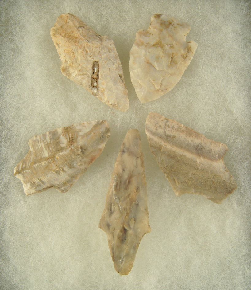 Main artifact image