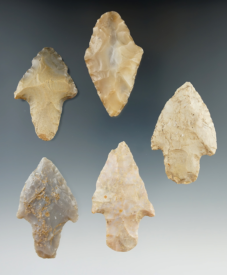 Group of 5 Woodland Points found in Kentucky and Indiana. Largest is 2 1/4".