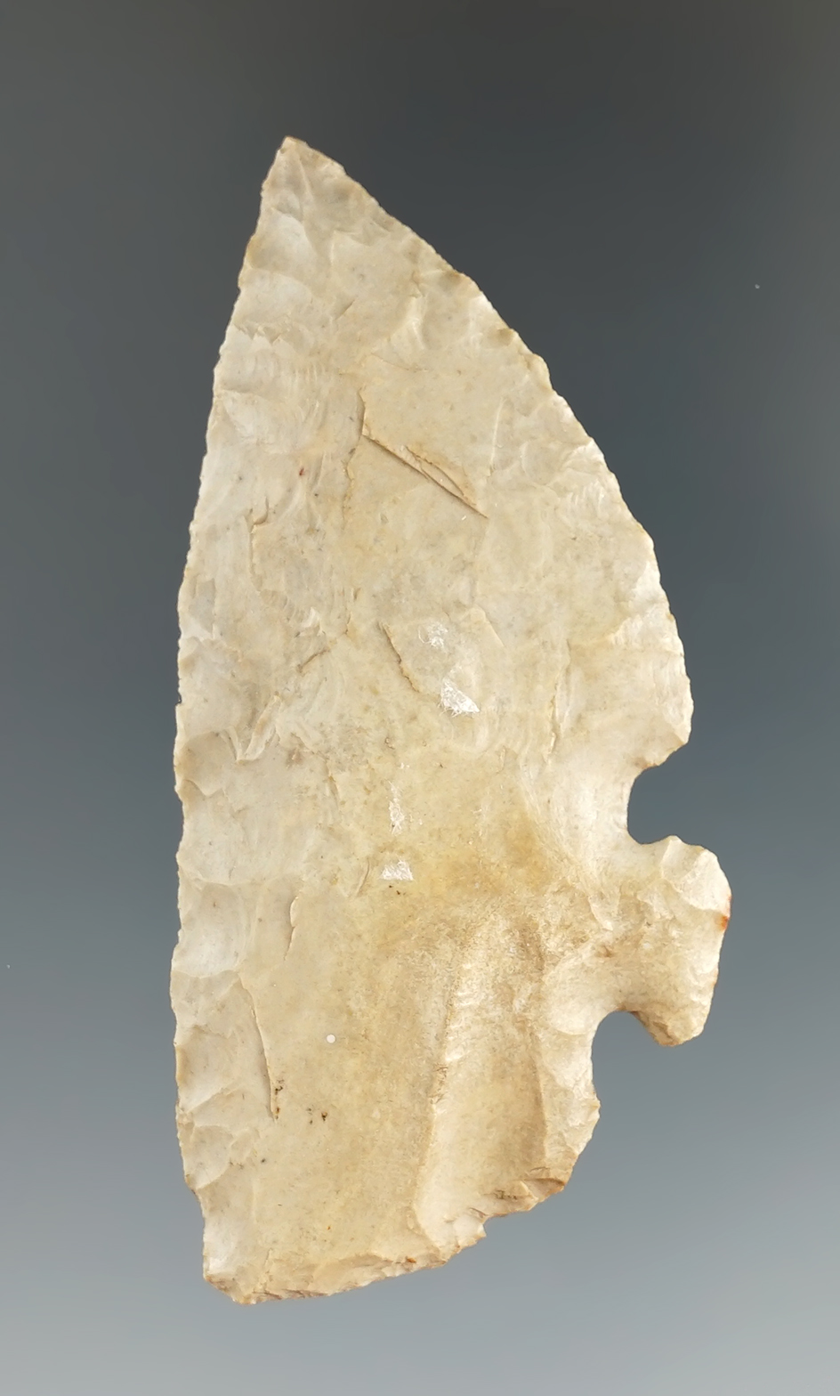 2 11/16" Mid Back Tang Knife found in Real Co., Texas. Comes with a Rogers COA.