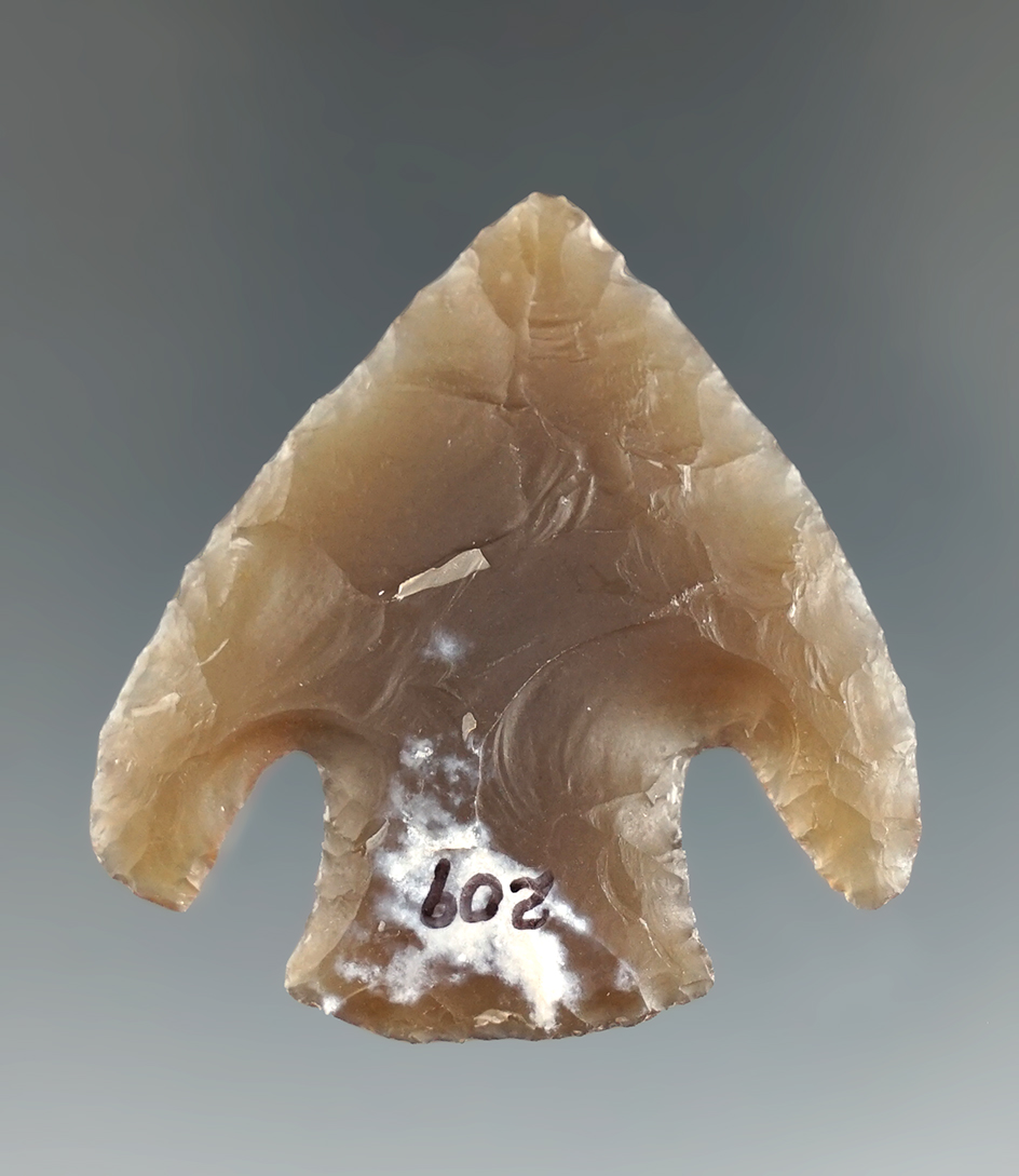 Excellent flawless 1 5/8" well styled Basalnotch found in Texas.