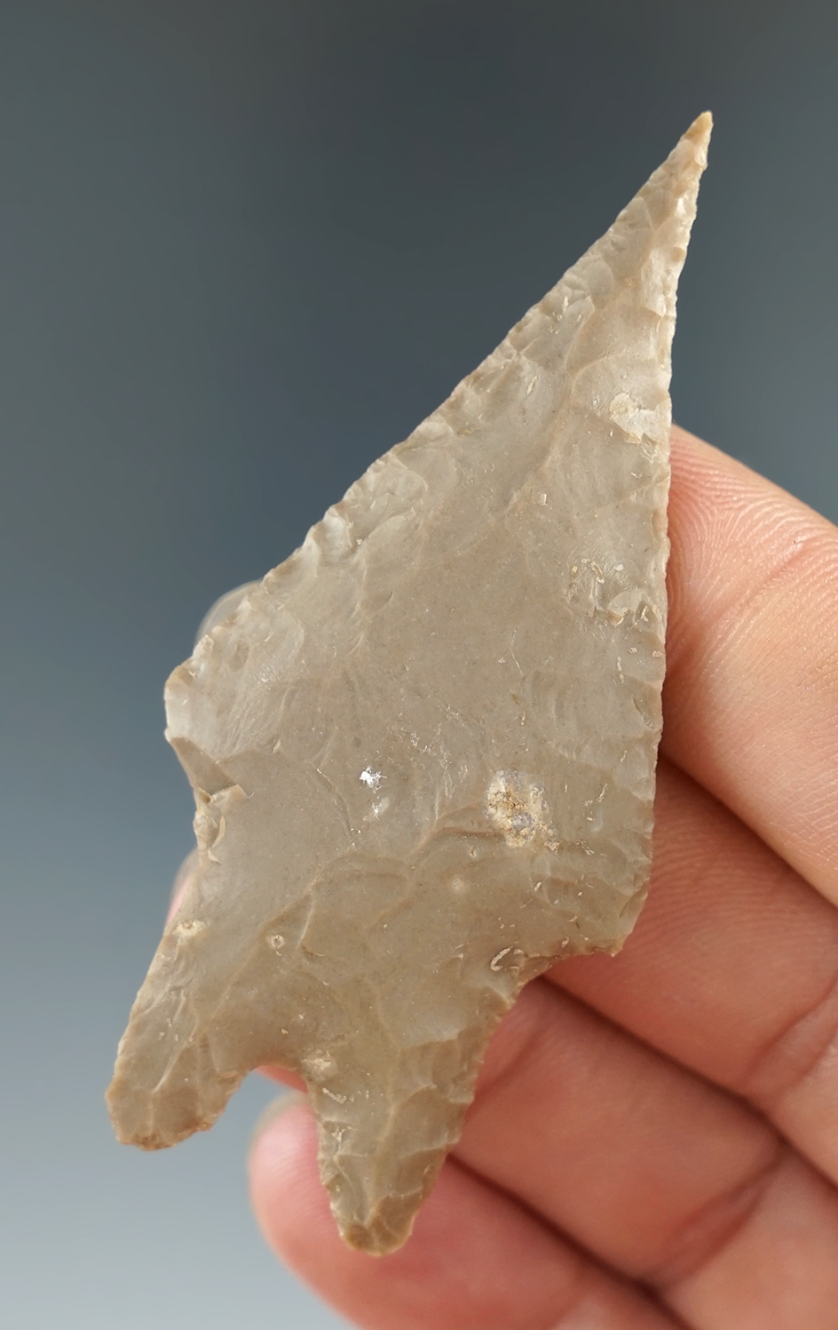 2 11/16" Needle Tip Pedernales point found in Texas.