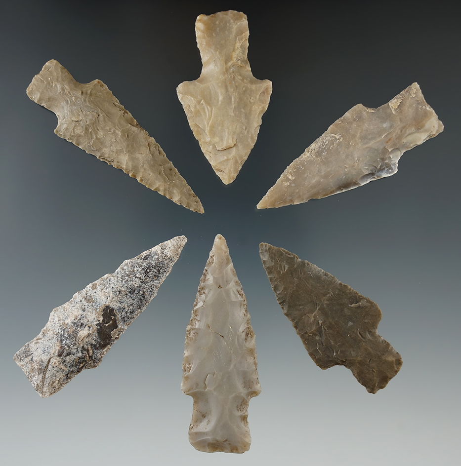 Ex. Museum! Set of 6 Carrollton Points found in Texas, largest is 2 1/2".