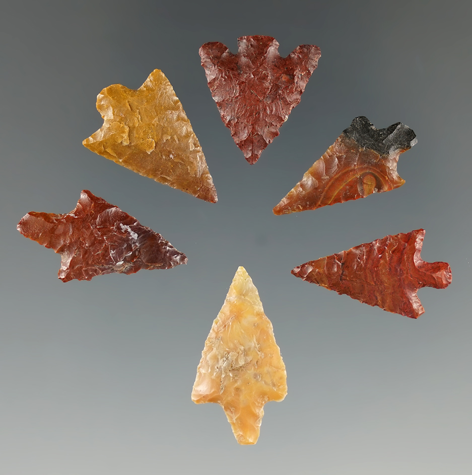 Set of 6 very nice Assorted Columbia River Arrowheads found in Oregon and Washington. Largest is 1".