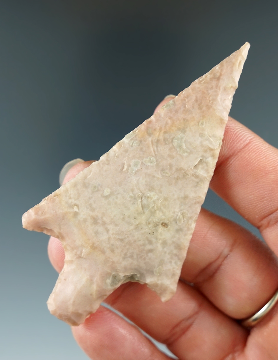 3 1/16" Langtry found in Webb Co., Texas. Comes with a Dwain Rogers COA.