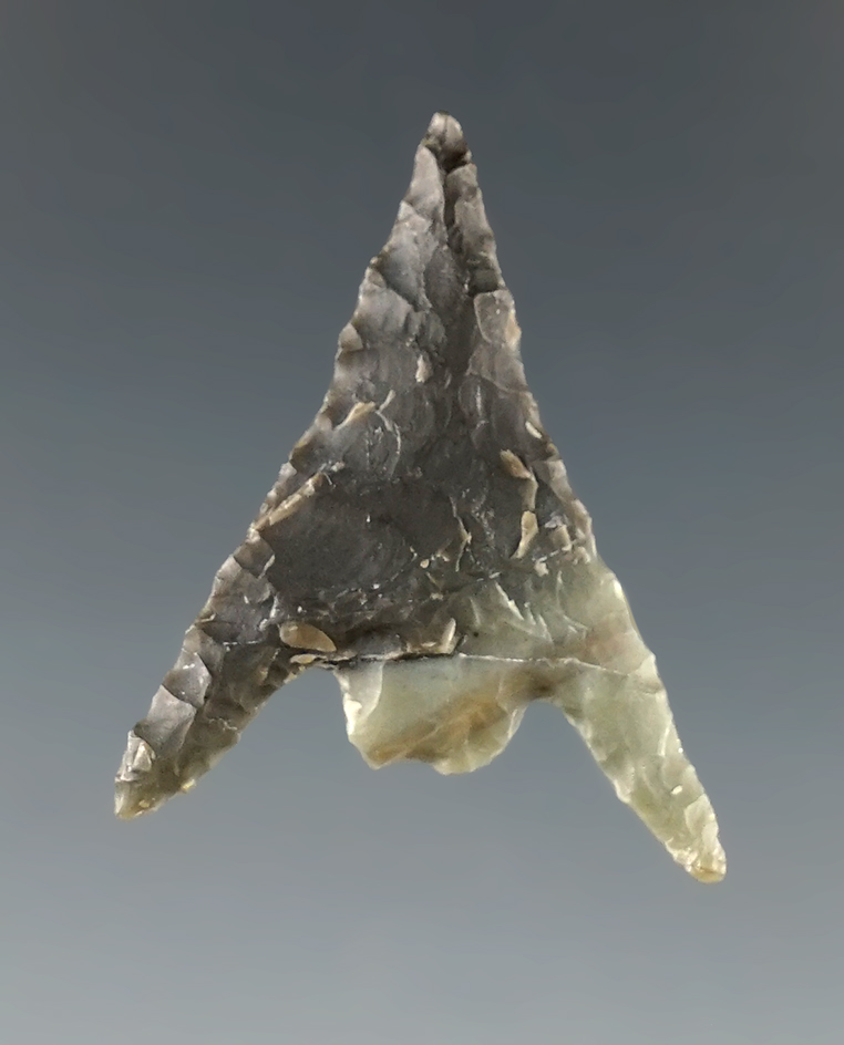 Ex. Museum!  1 3/16" Gunther from the Charles Shewey Collection.  Found in southern Oregon.