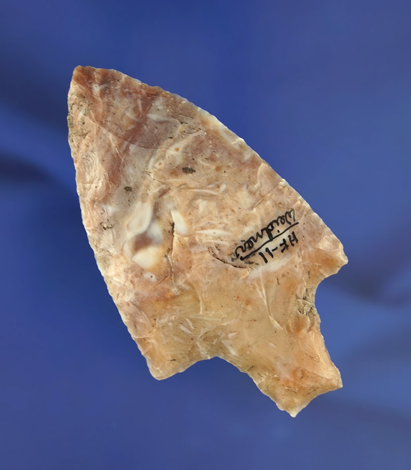 3 1/4" Newnan point that is very colorful found in Florida. Ex. Len Weidner collection.