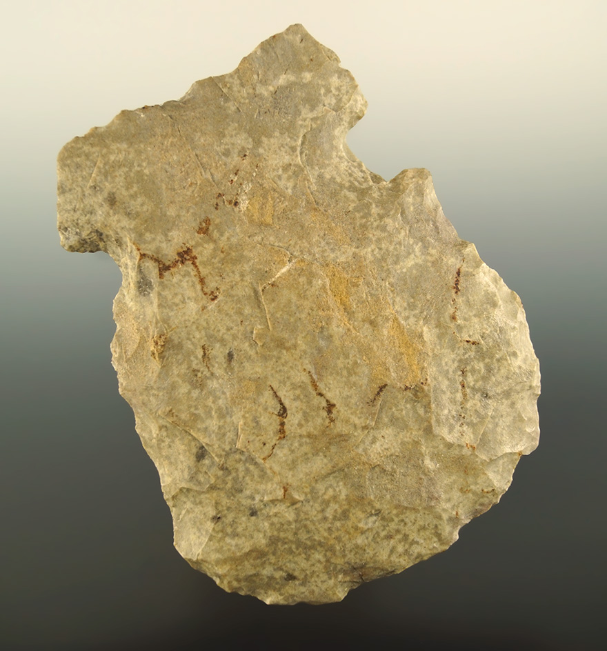 Main artifact image