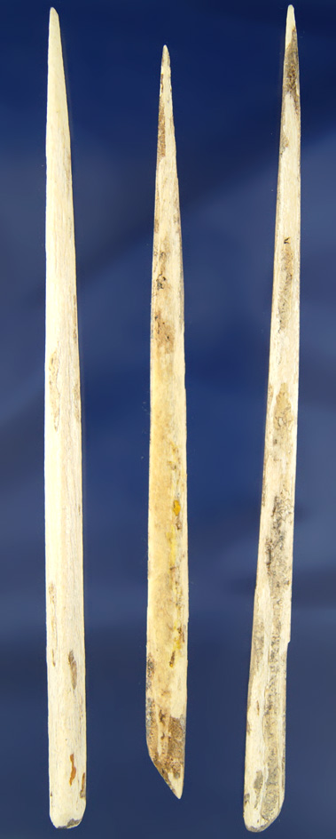 Set of three very large Bone Awls or Hairpins, largest is 7 7/8" found in Illinois.