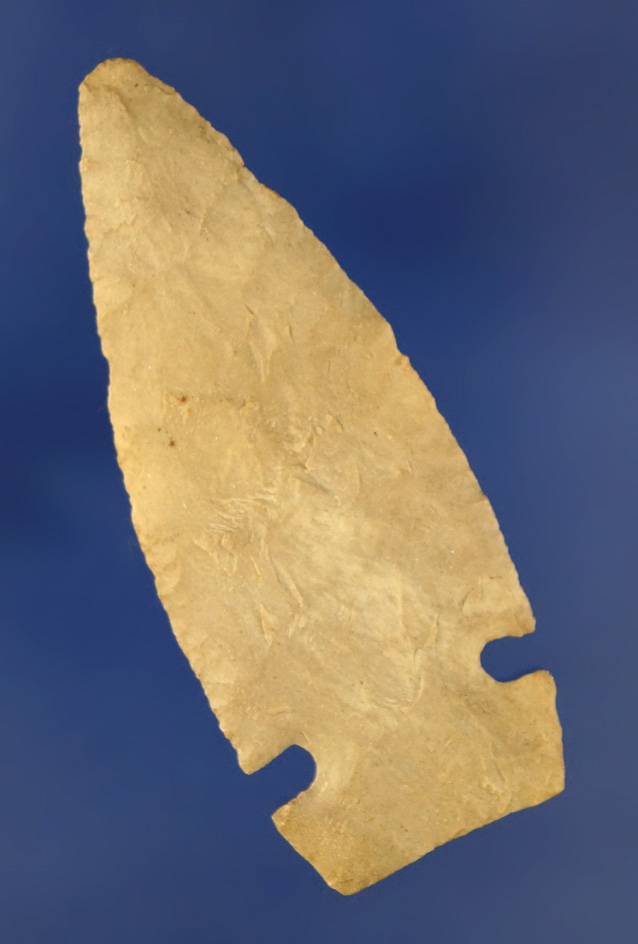 2 1/4" very thin Intrusive Mound point found at the Fox Field site, Mason Co., Kentucky. Ex. Dr. Gla