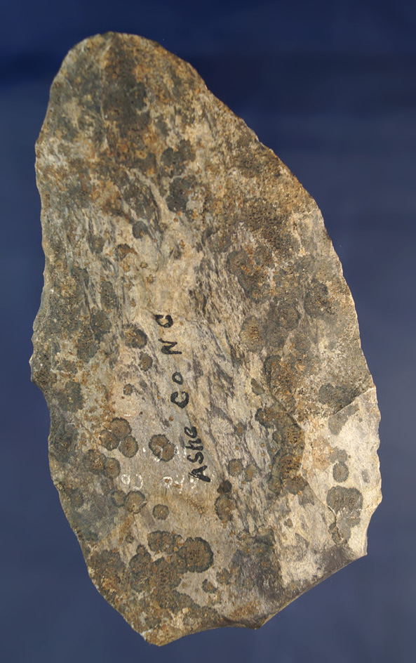 Main artifact image