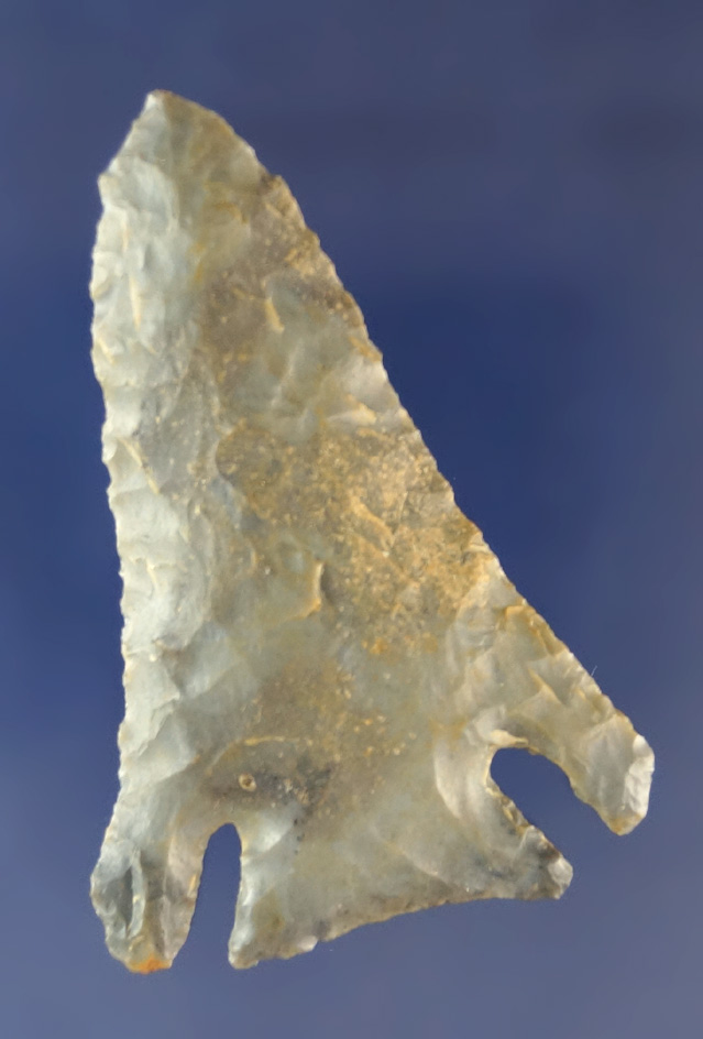 Classic styled 2 5/16" Pinetree Point that is well flaked found in Daviess Co., Kentucky.