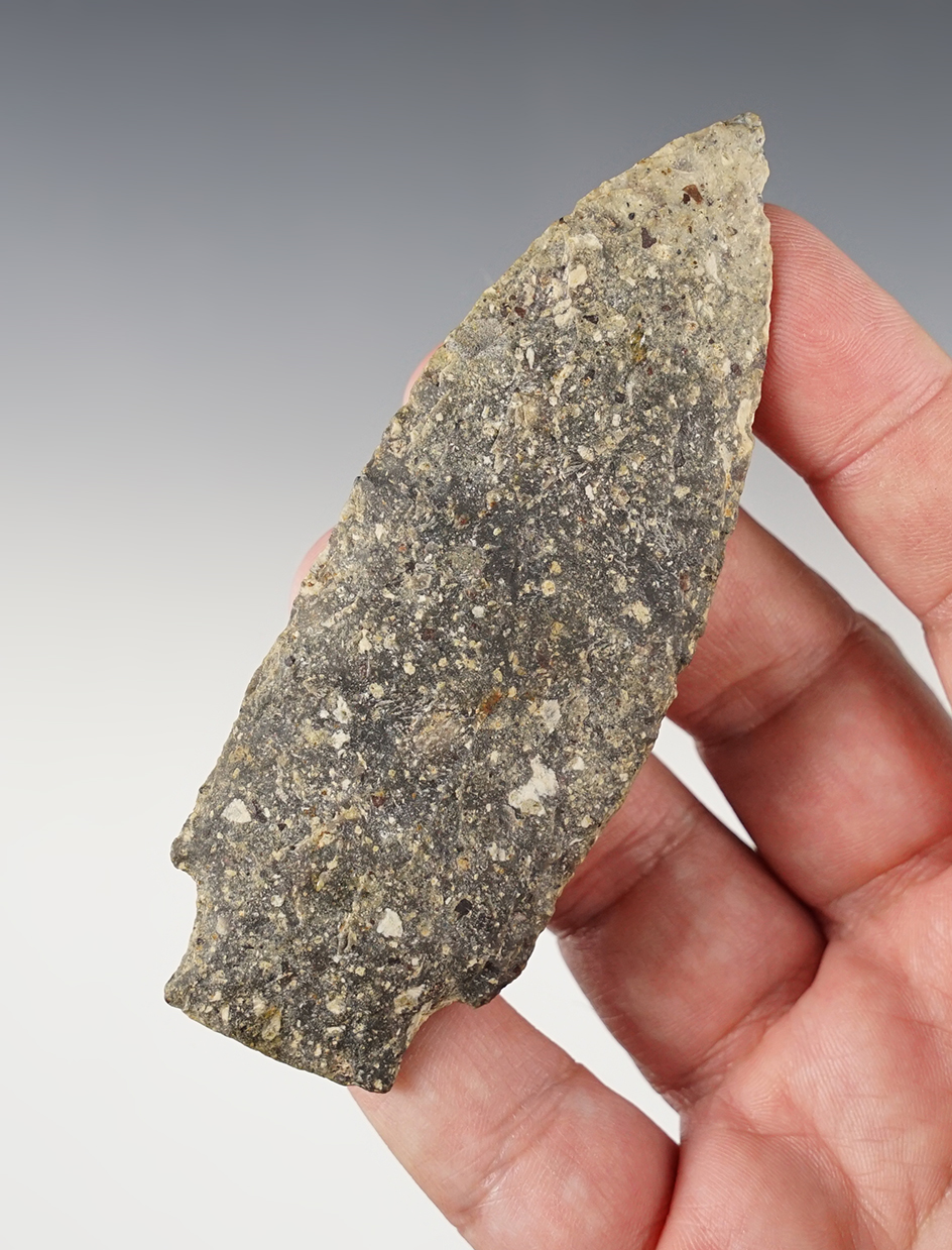 Main artifact image