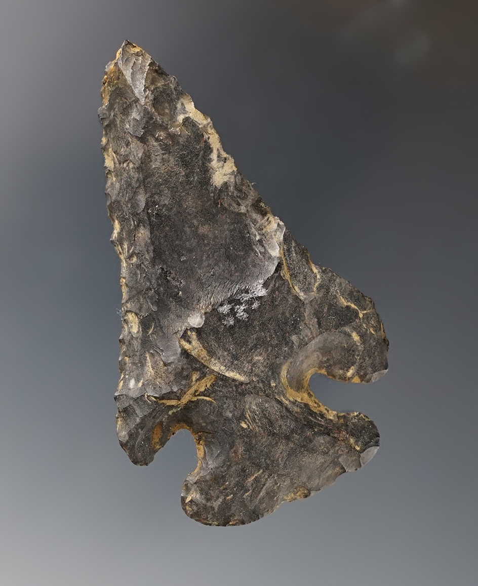 2 3/8" Steeply Beveled Thebes found in Holmes Co., Ohio. Ex. Lar Hothem collection.