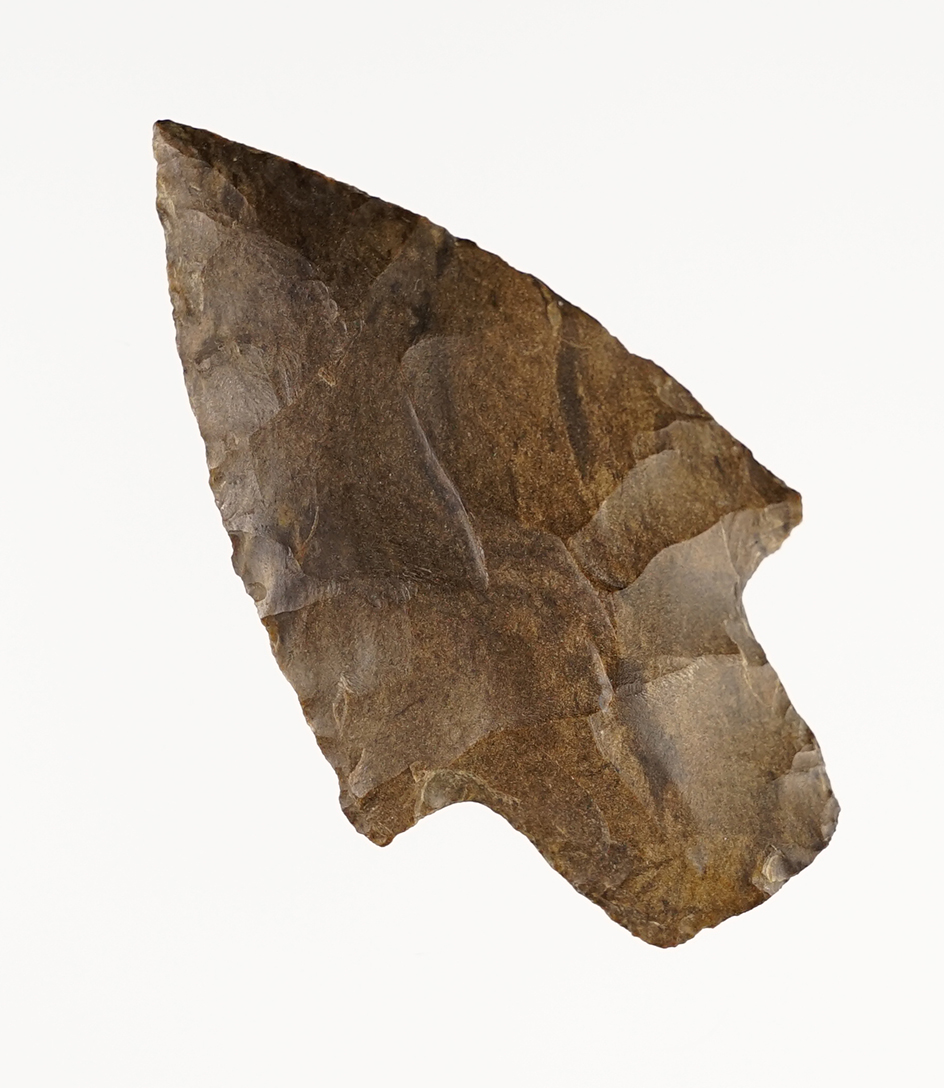 Main artifact image