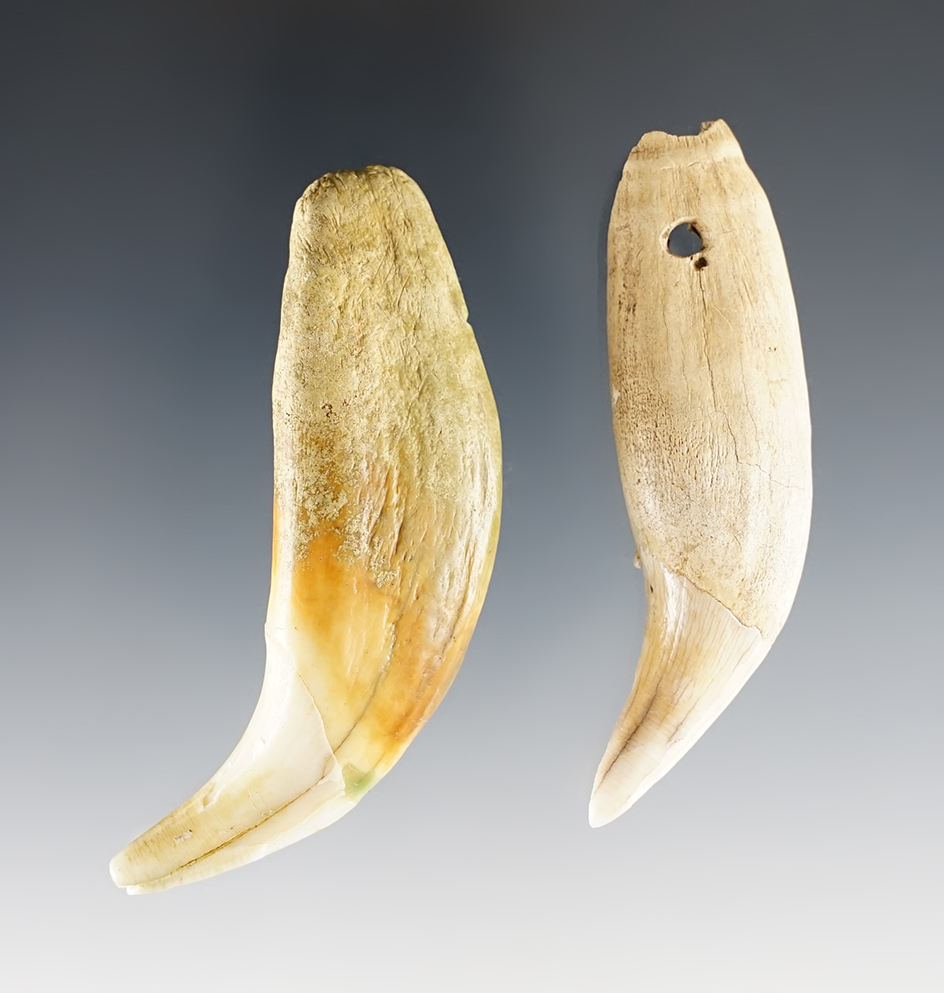 Main artifact image