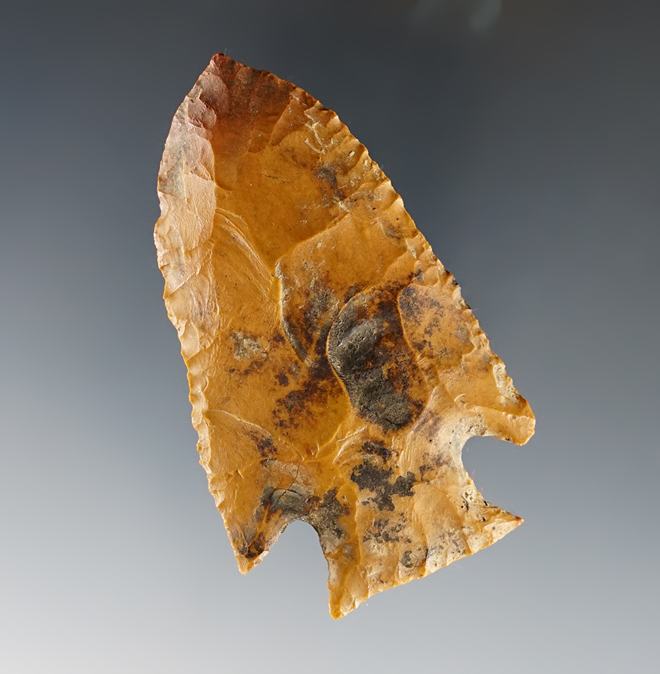 Main artifact image