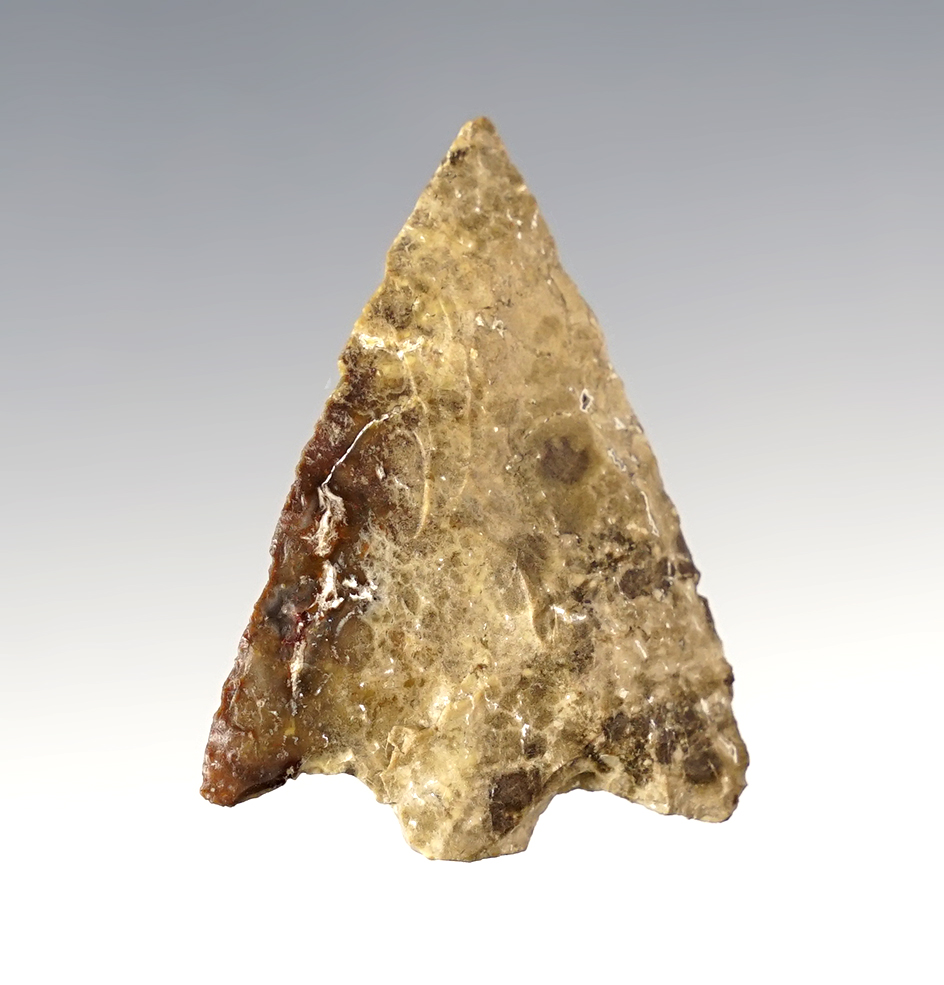 Main artifact image