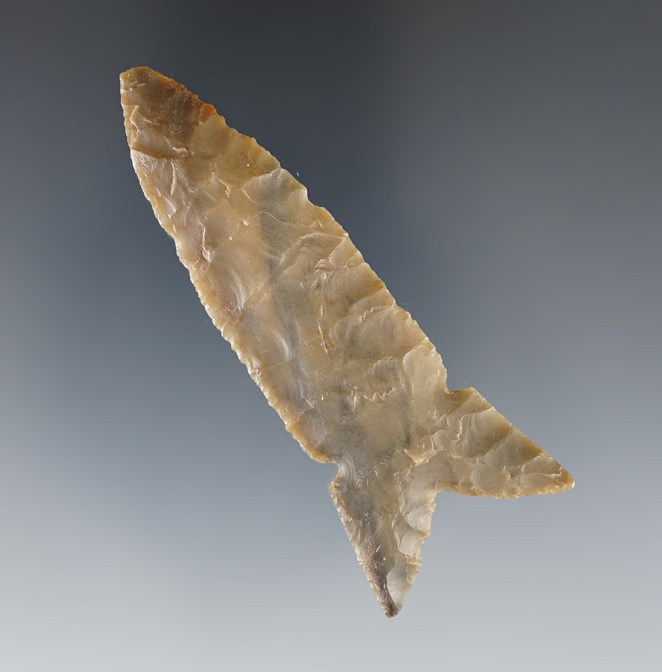 Main artifact image