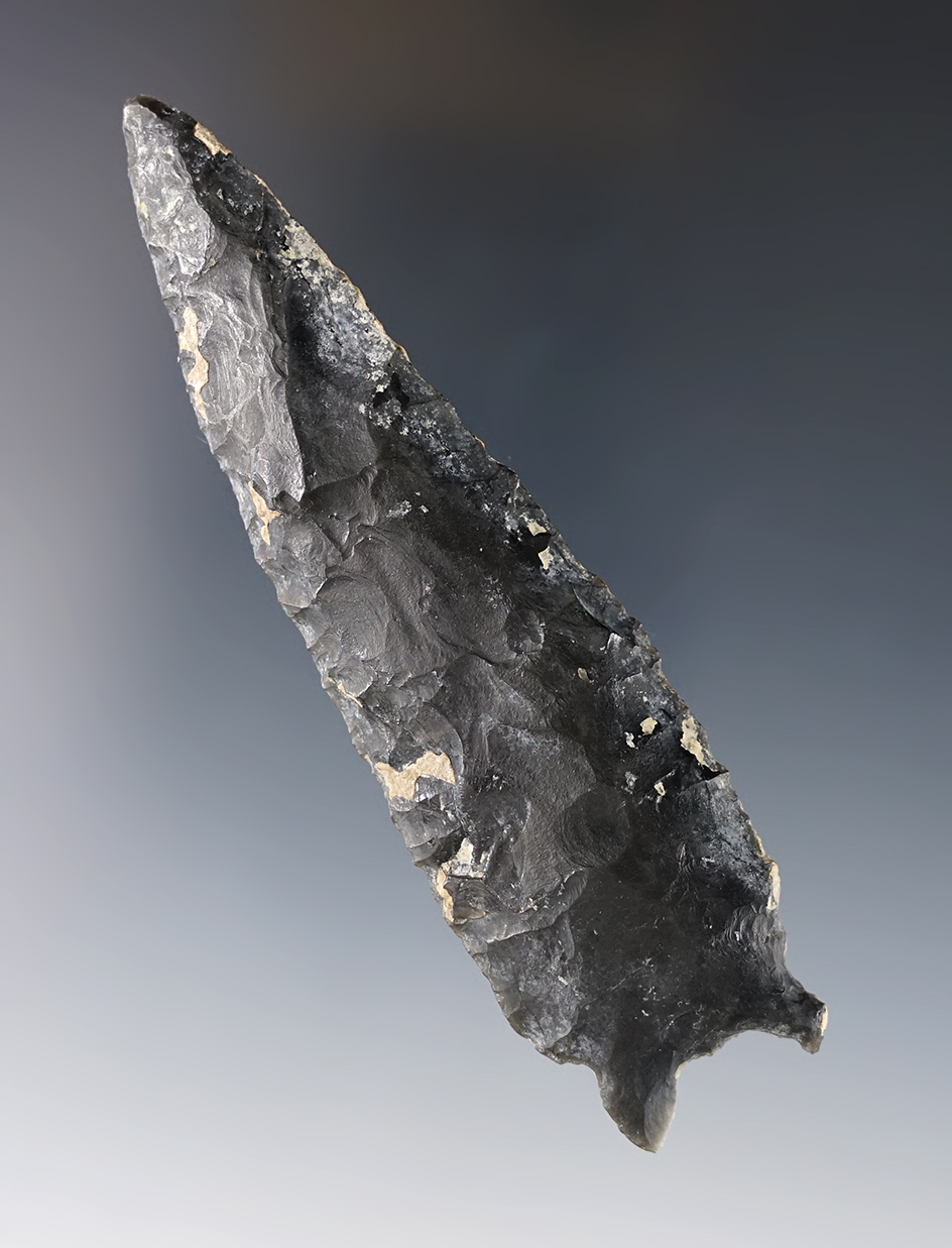 Main artifact image