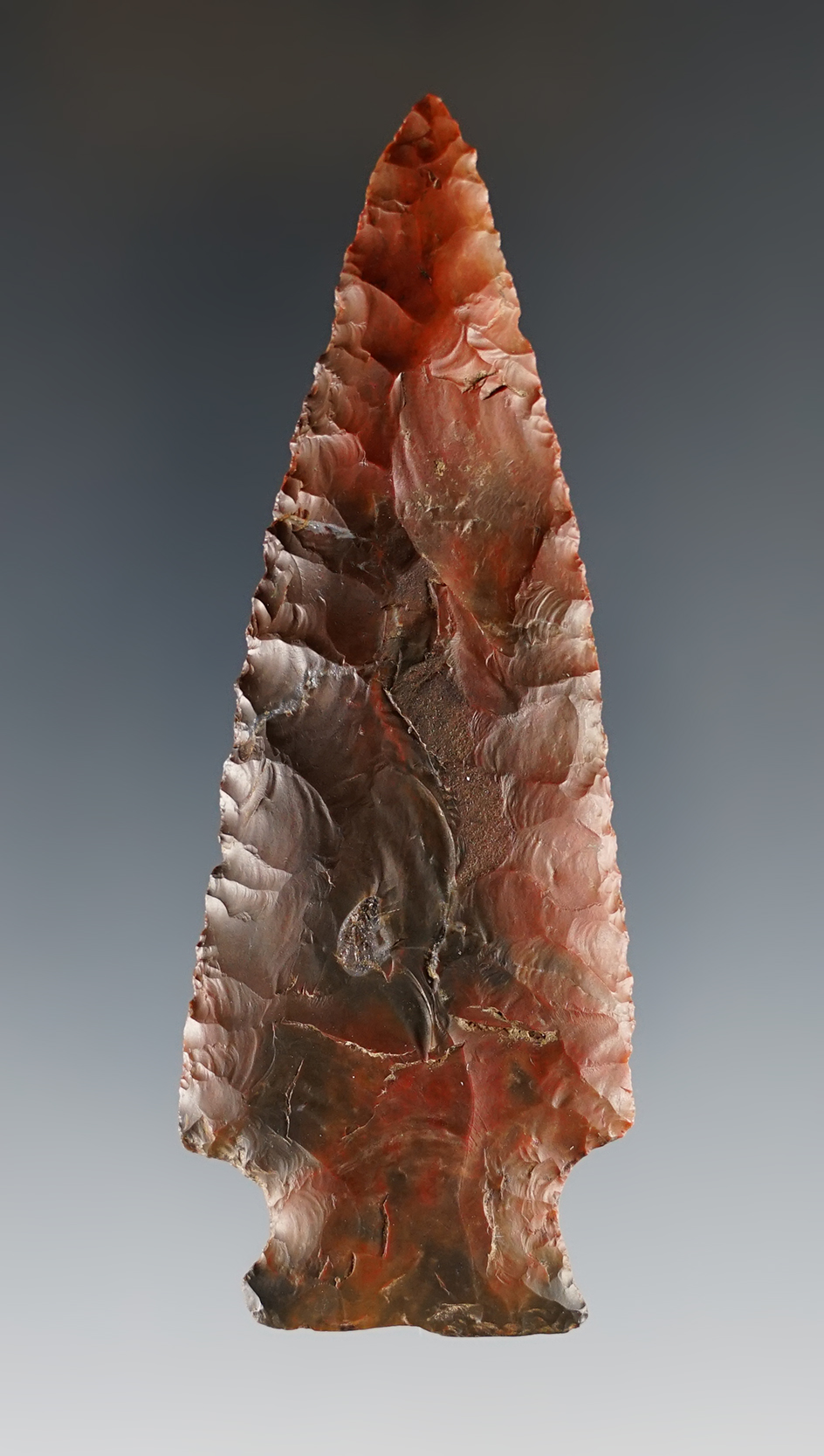 Main artifact image