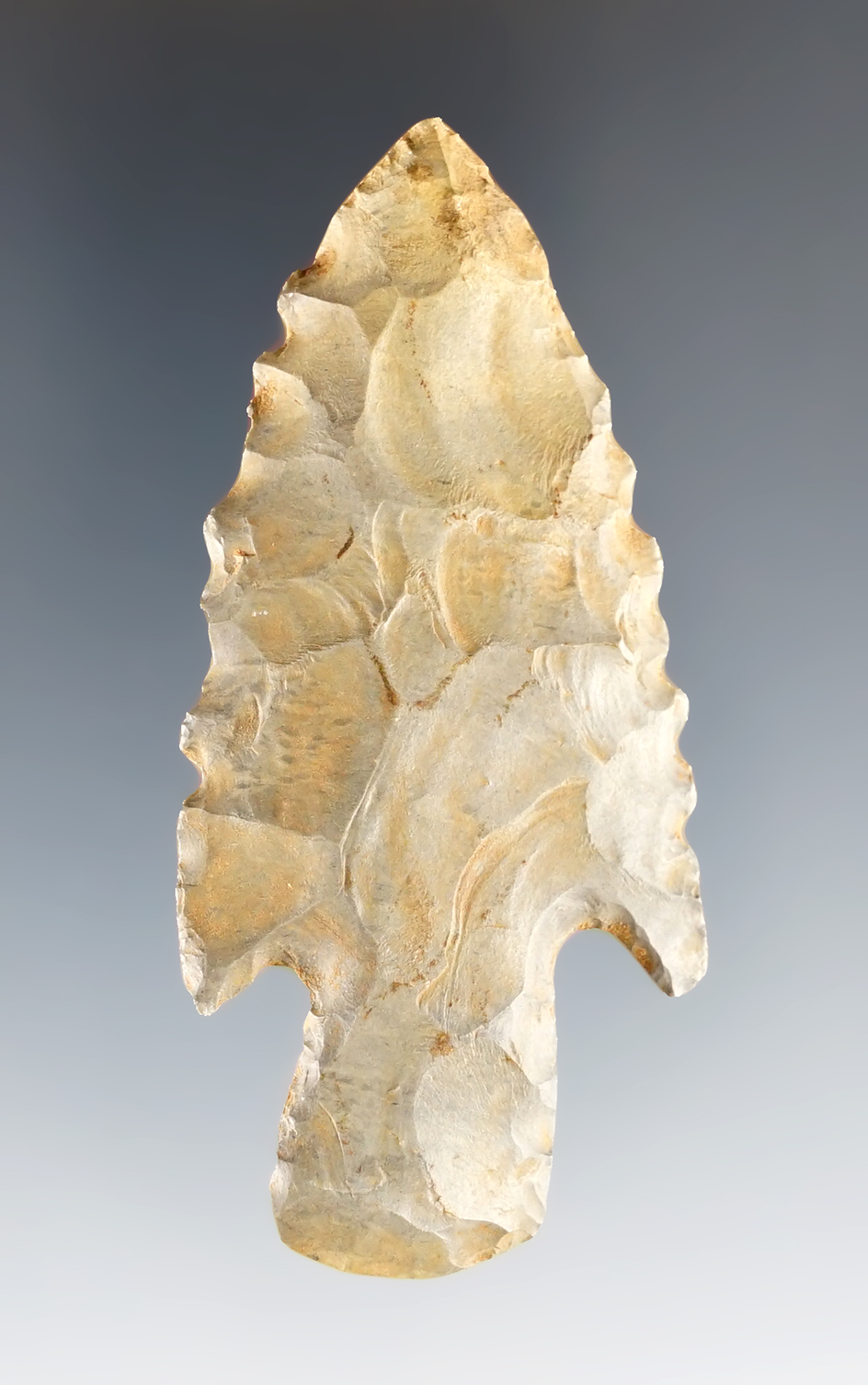 Main artifact image