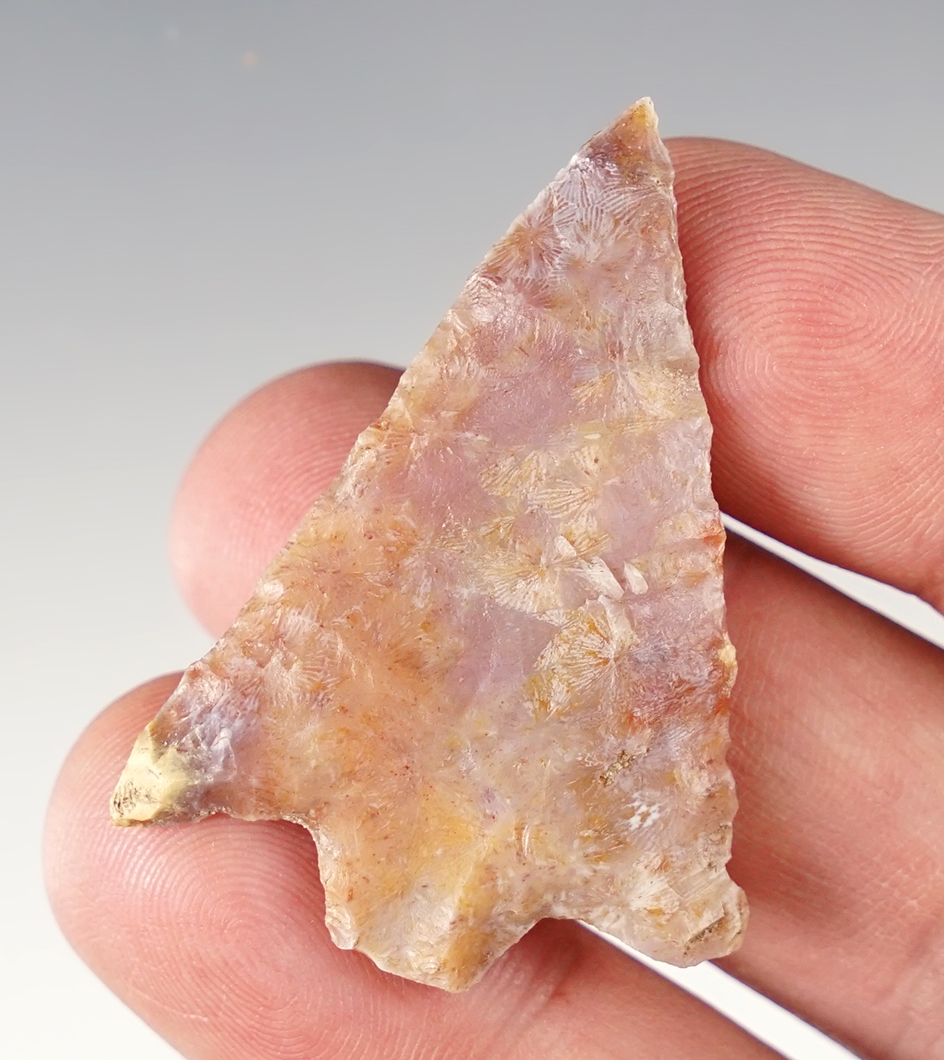 Main artifact image