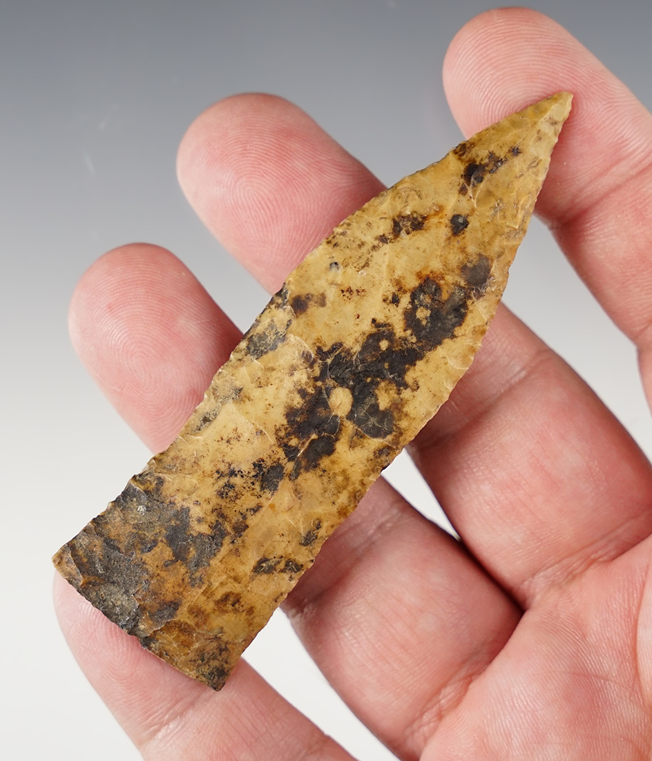 Main artifact image