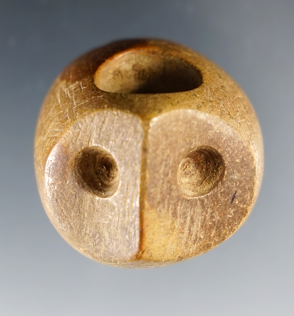 Main artifact image