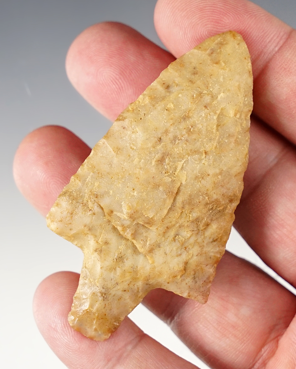 Main artifact image