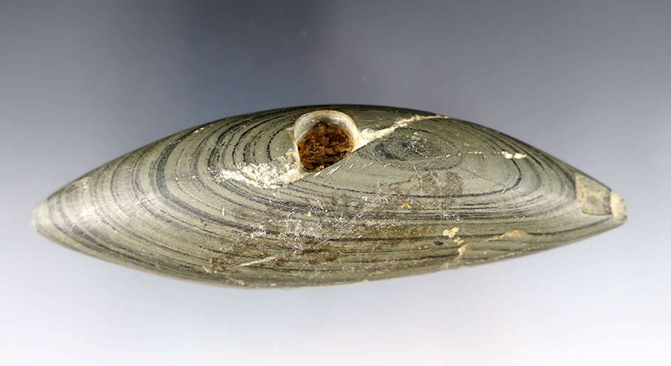 Main artifact image