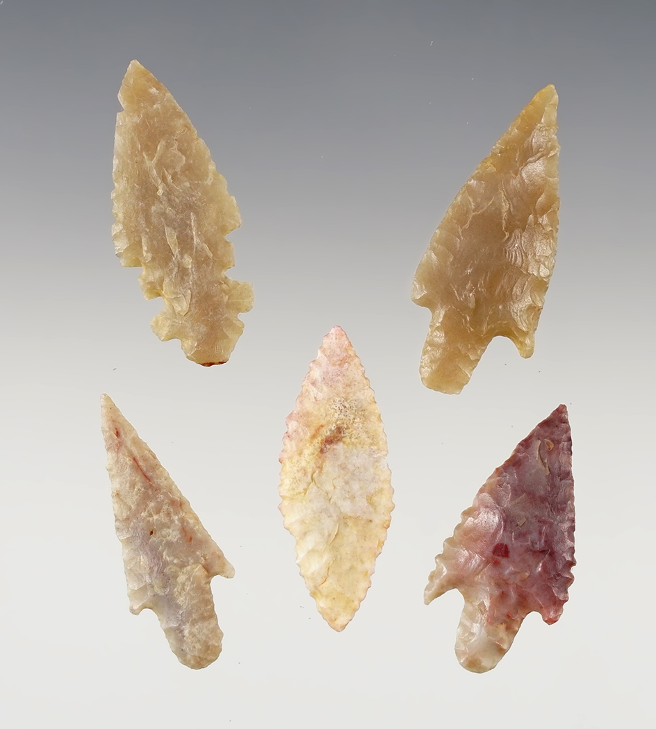 Main artifact image
