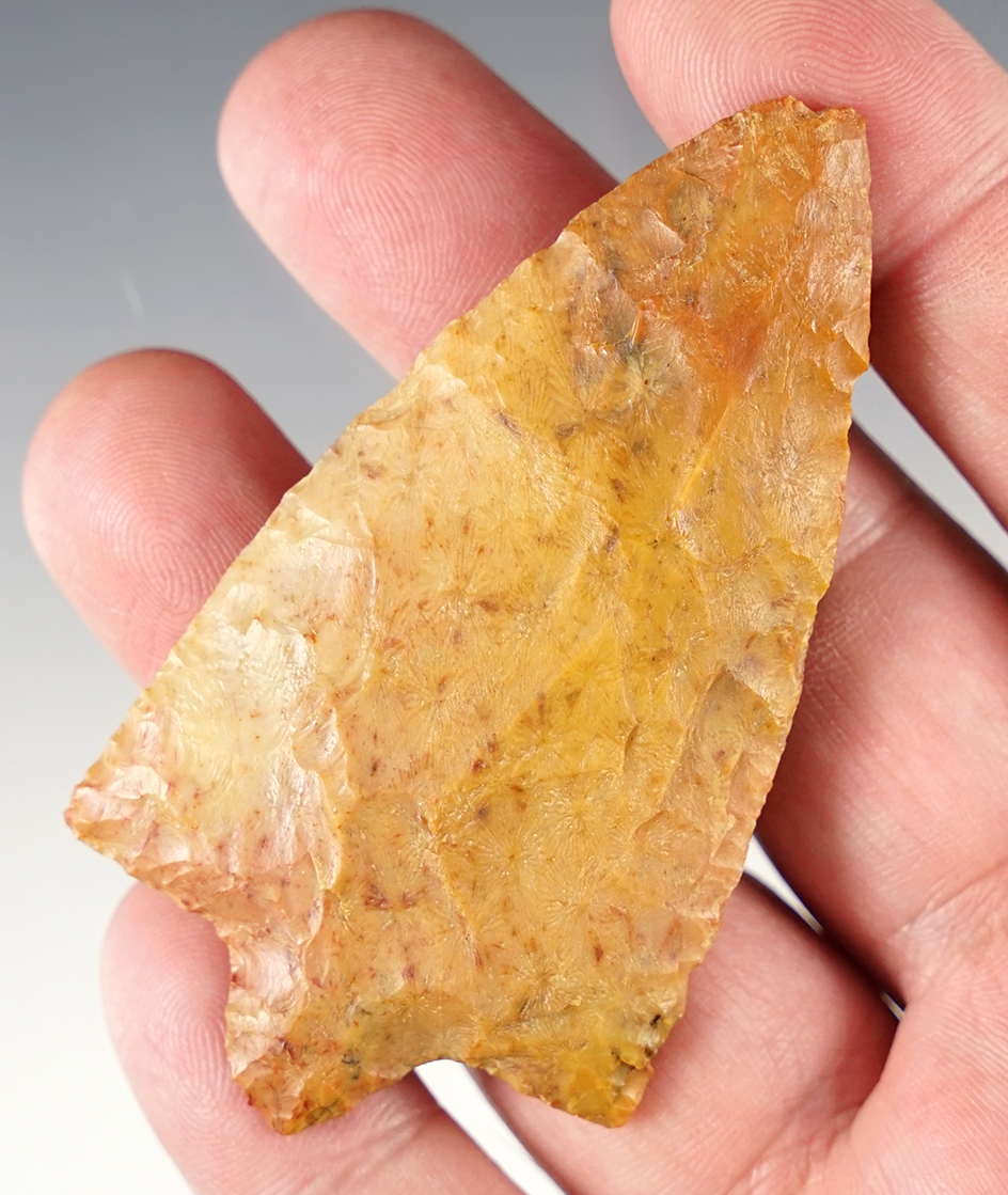 Main artifact image