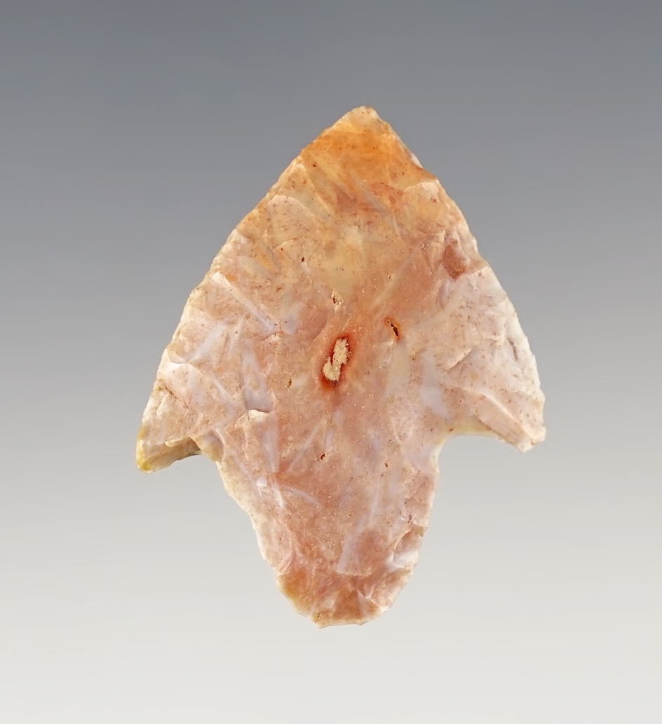 Main artifact image